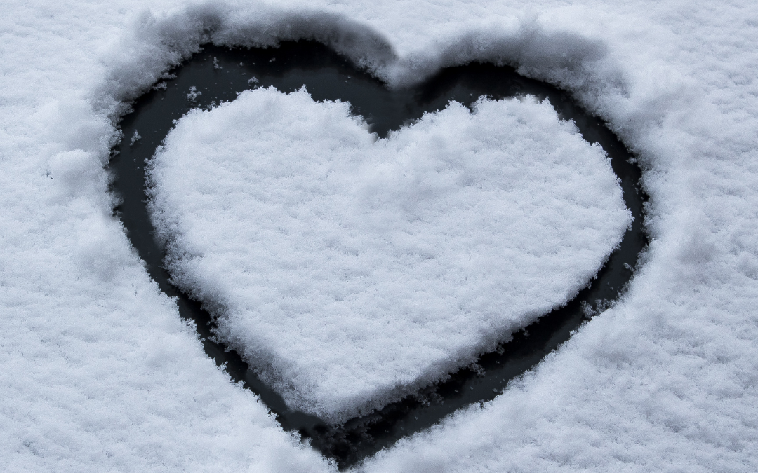 8 ways to support LGBTQ+ youth during the holidays