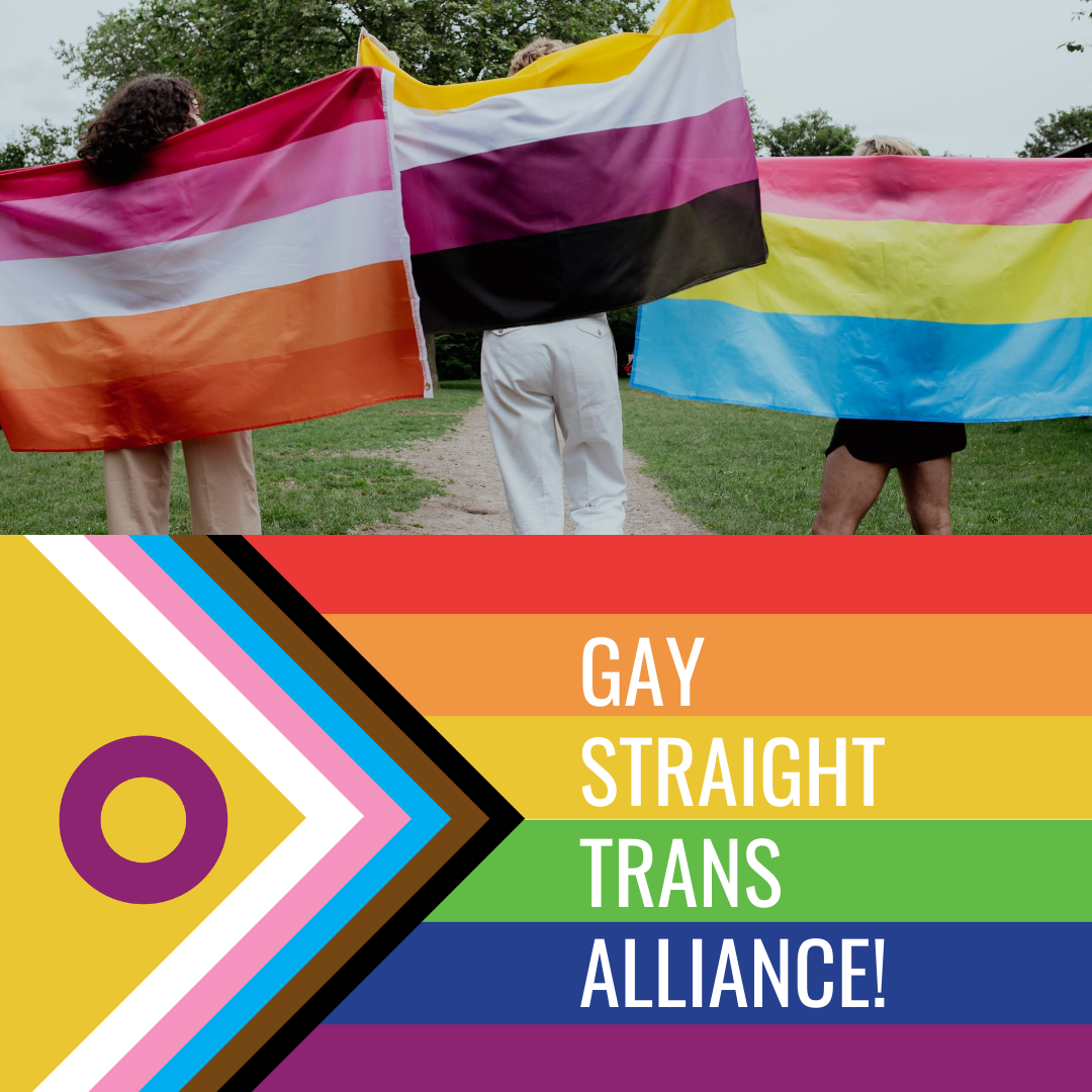 Gay Straight Trans Alliance Support Group