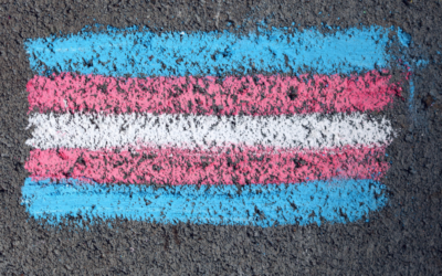 Help Defeat Anti-Trans Bills